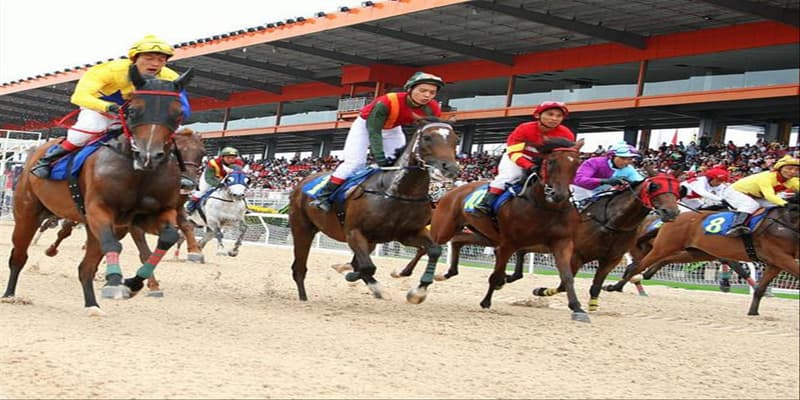 Kèo đua ngựa Những lưu ý quan trọng khi chơi kèo đua ngựa