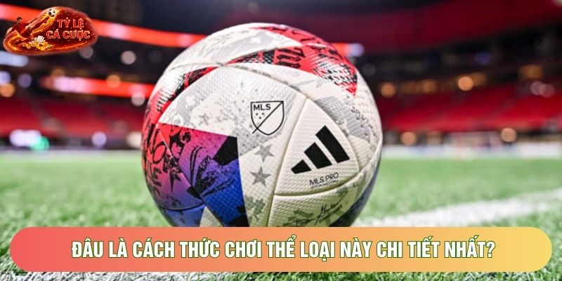 Đâu là cách thức chơi thể loại này chi tiết nhất?