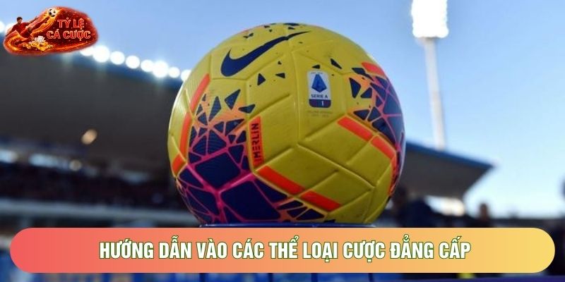 Hướng dẫn vào các thể loại cược đẳng cấp Hướng dẫn vào các thể loại cược đẳng cấp