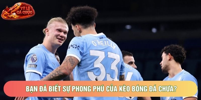 Bạn đã biết sự phong phú của kèo bóng đá chưa? Bạn đã biết sự phong phú của kèo bóng đá chưa?