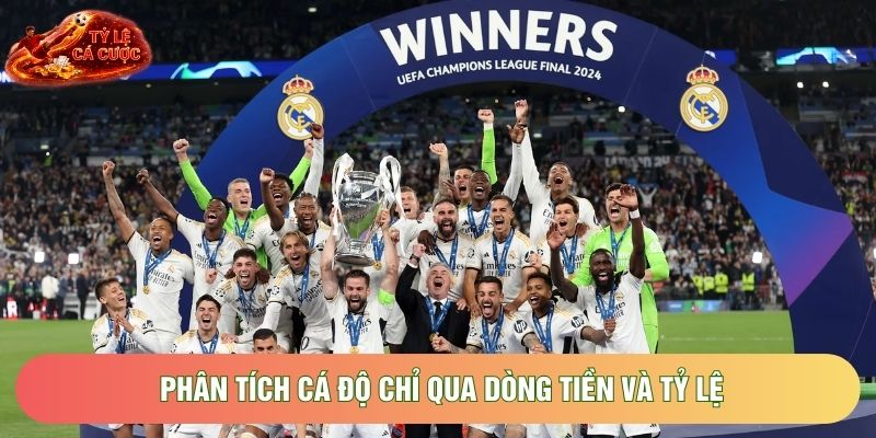 Phân tích cá độ chỉ qua dòng tiền và tỷ lệ