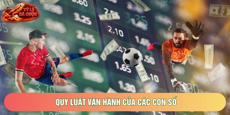 Quy luật vận hành của các con số
