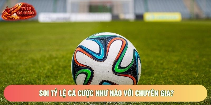 Soi tỷ lệ cá cược như nào với chuyên gia?