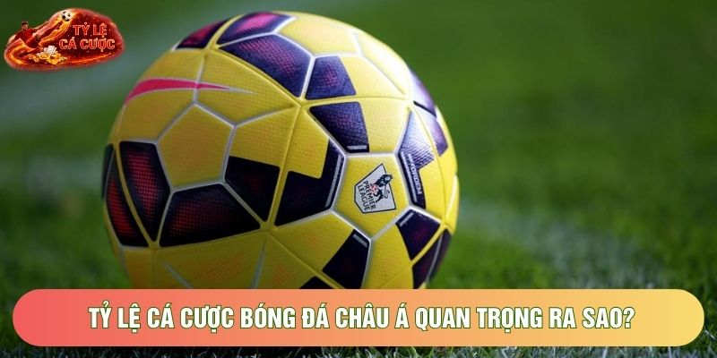 Tỷ lệ cá cược bóng đá châu Á quan trọng ra sao?