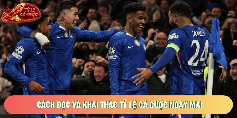 Cách đọc và khai thác tỷ lệ cá cược ngày mai