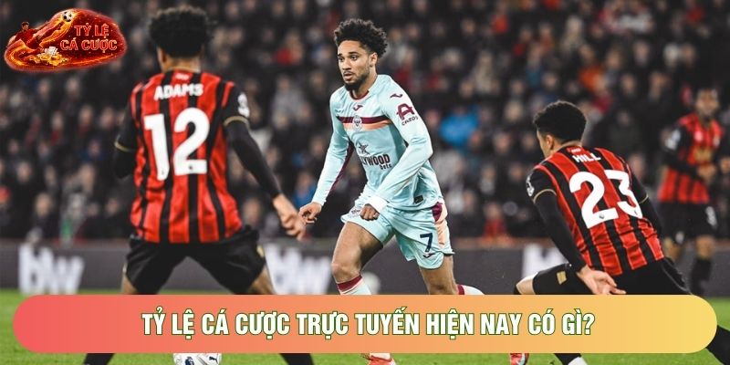 Tỷ lệ cá cược trực tuyến hiện nay có gì?