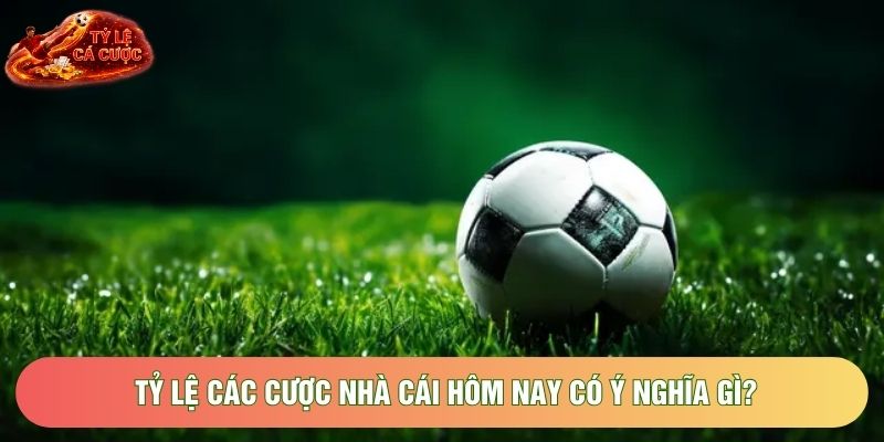 Tỷ lệ các cược nhà cái hôm nay có ý nghĩa gì? Tỷ lệ các cược nhà cái hôm nay có ý nghĩa gì?
