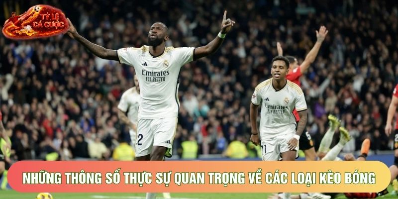 Những thông số thực sự quan trọng về các loại kèo bóng