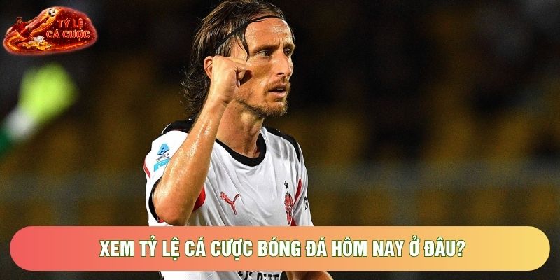 Xem tỷ lệ cá cược bóng đá hôm nay ở đâu? Xem tỷ lệ cá cược bóng đá hôm nay ở đâu?