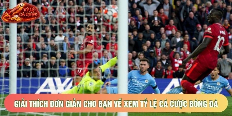 Giải thích đơn giản cho bạn về xem tỷ lệ cá cược bóng đá Giải thích đơn giản cho bạn về xem tỷ lệ cá cược bóng đá